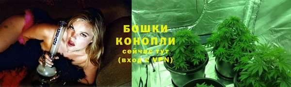 молекула духа Лихославль