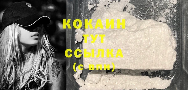молекула духа Лихославль