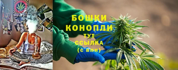 винт Липки