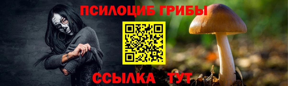 Галлюциногенные грибы мицелий  Вход с VPN  Новозыбков 