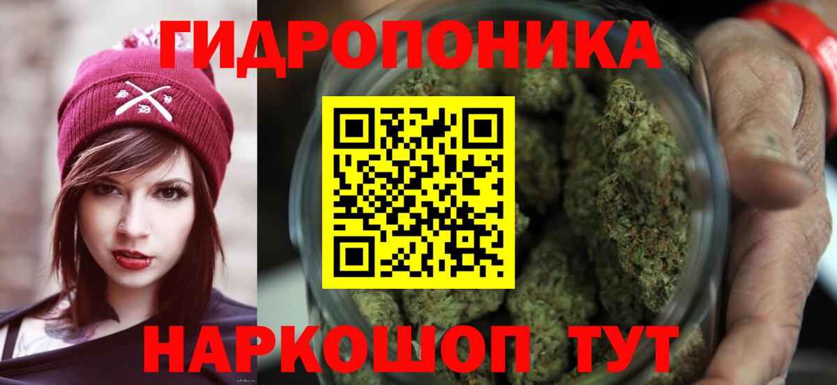 Каннабис план Новозыбков