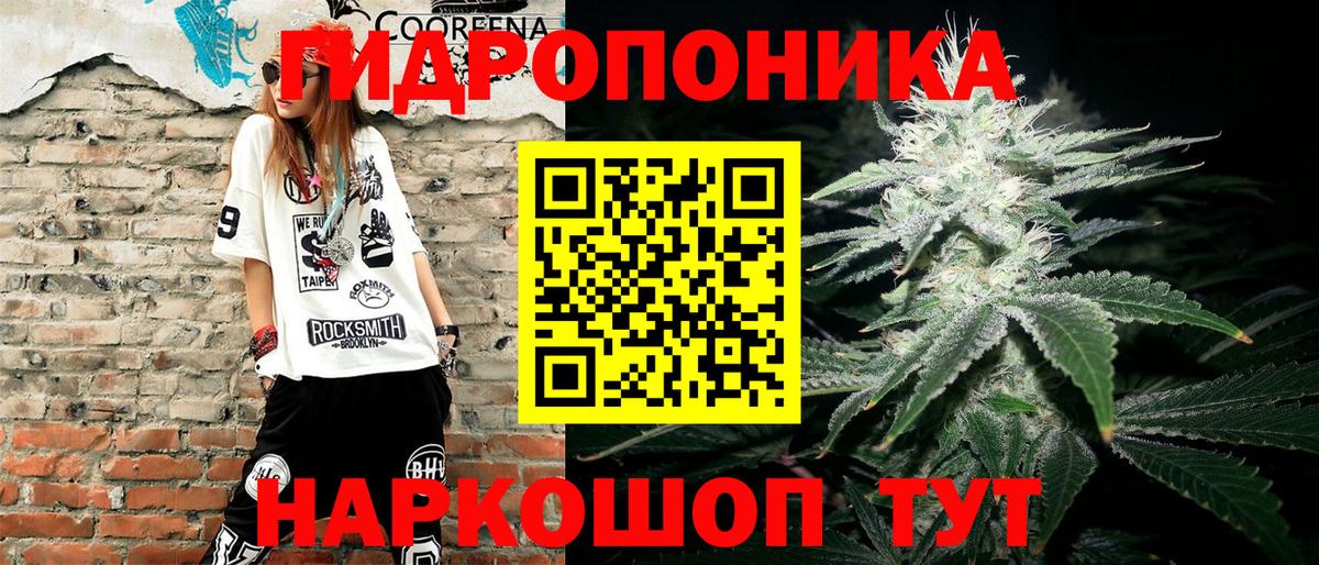 Конопля конопля  Каннабис OG Kush  Новозыбков  Шишки марихуана ГИДРОПОН 